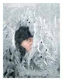 Click to enlarge Ice Age_1