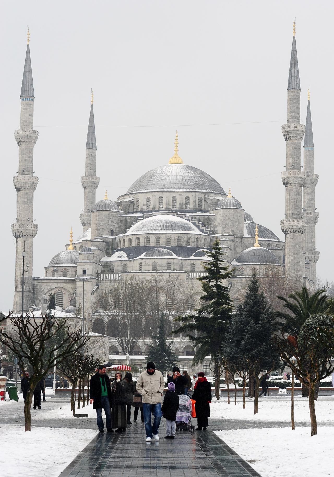 Click to enlarge Ice Age_4
