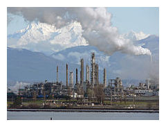 Crude Oil
