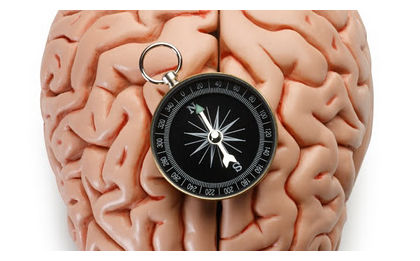 Click to enlarge Brain Compass