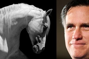The White Horse Prophecy foresaw Mormons in politics.