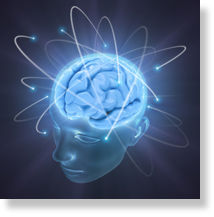 Click to enlarge brain