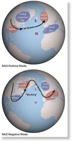 Click to enlarge Image