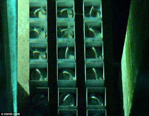 top of nuke fuel rods