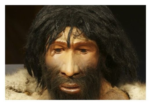 Neanderthal