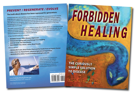 Forbidden Healing