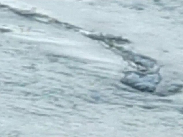 Click to enlarge Monster_2