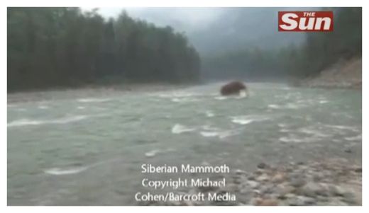 Mammoth?