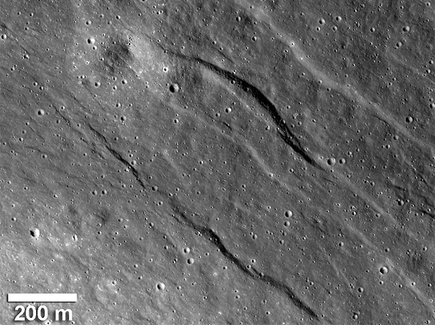 Click to enlarge Image