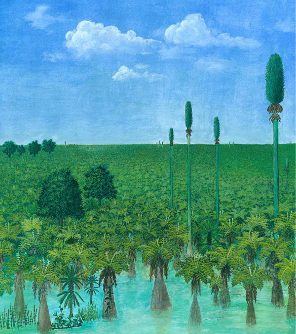 Ash Covered Forest