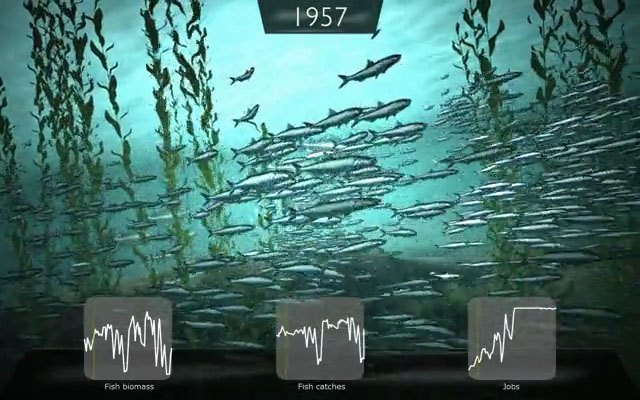 Ocean Fishes