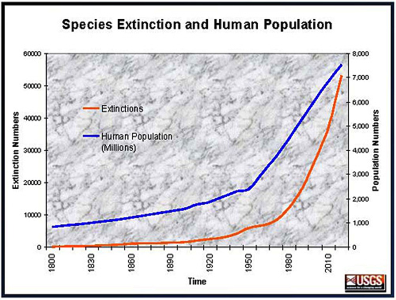 Click to enlarge Species Extinction
