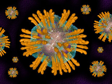 Hep C virus graphic