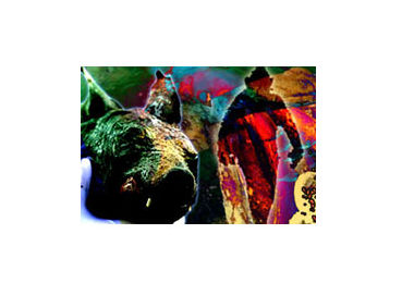 Click to enlarge Monster