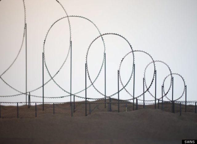 euthanasia roller coaster