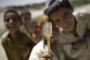 Afghan boys beg for food