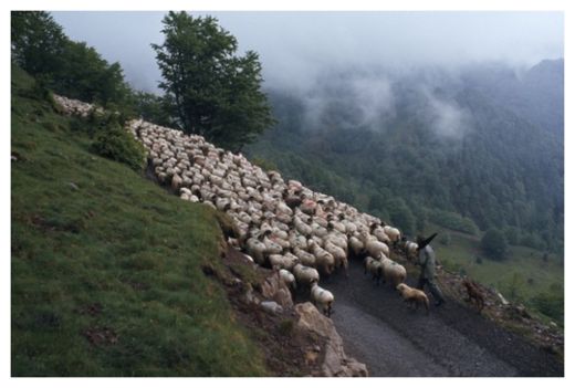 Click to enlarge Basque Region