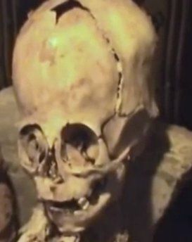 Mummy giant head peru