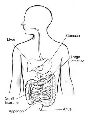 Click to enlarge Appendix