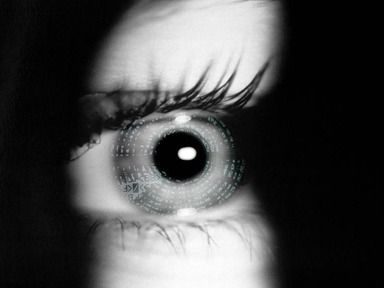 eye