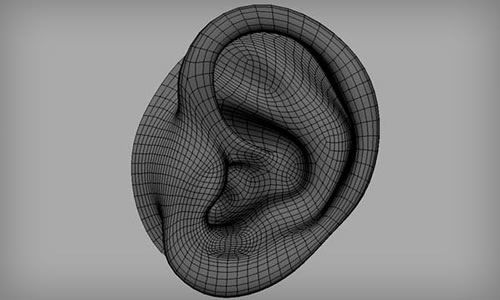 Ear Infections