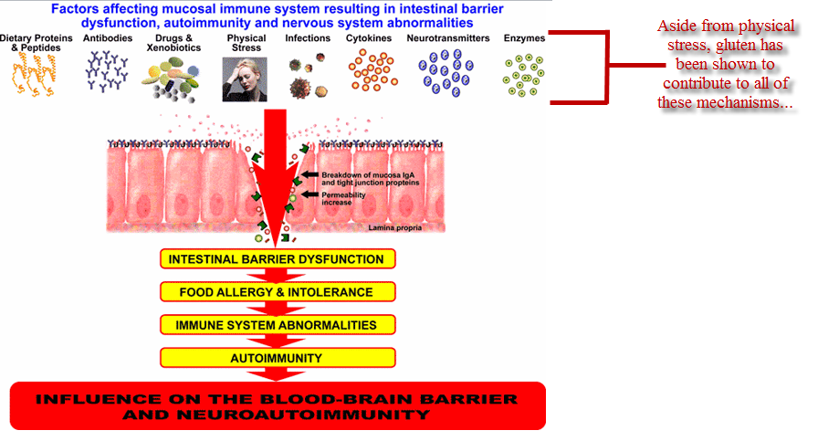 Leaky Gut gluten