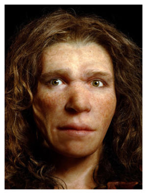 Neandertals 
