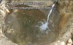 Palestine water