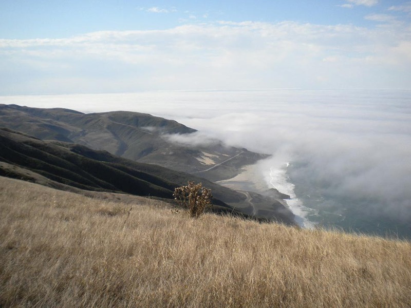 Coastal Fog