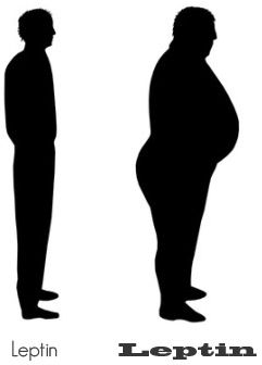 Click to enlarge Image