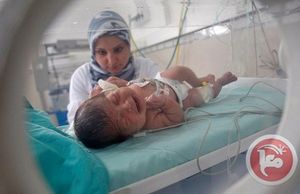 A nurse tends to a baby inside an incubato