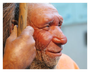 Neanderthal 
