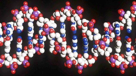 dna