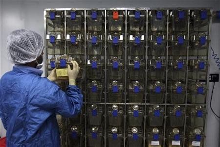 pharmacologist works inside the bio safety room