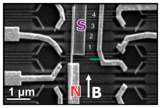 Majorana fermions