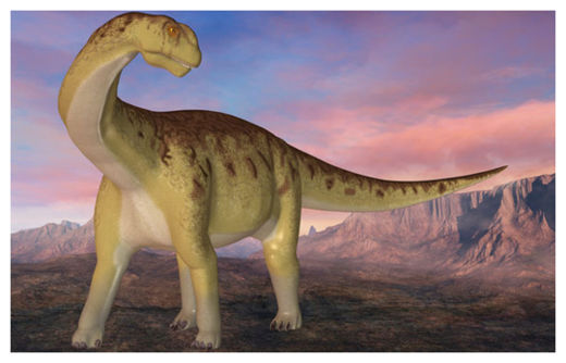Camarasaurus