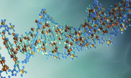 DNA alternative XNA
