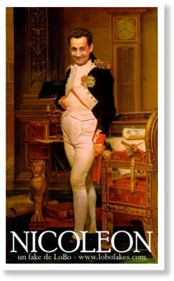 Sarkozy napoleon