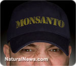 monsanto