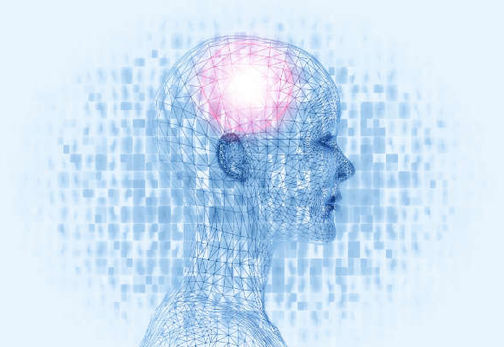 brain