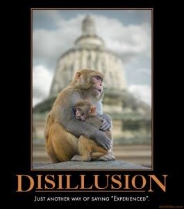 disillusionment 2