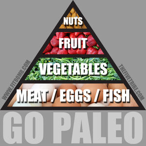 paleo pyramid