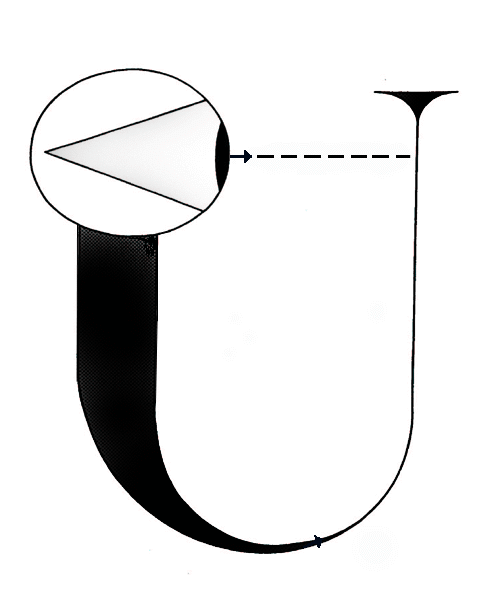 wheeler's eye
