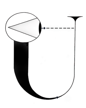 wheeler's eye