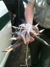  booby traps