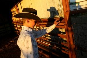 Cole Hatfield tends to his show steers