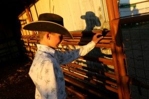 Click to enlarge Cole Hatfield tends to his show steers