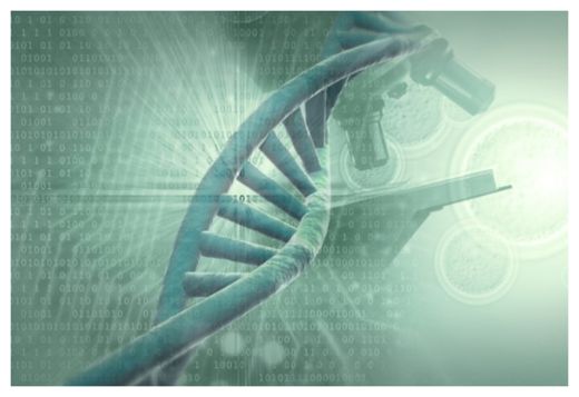 DNA