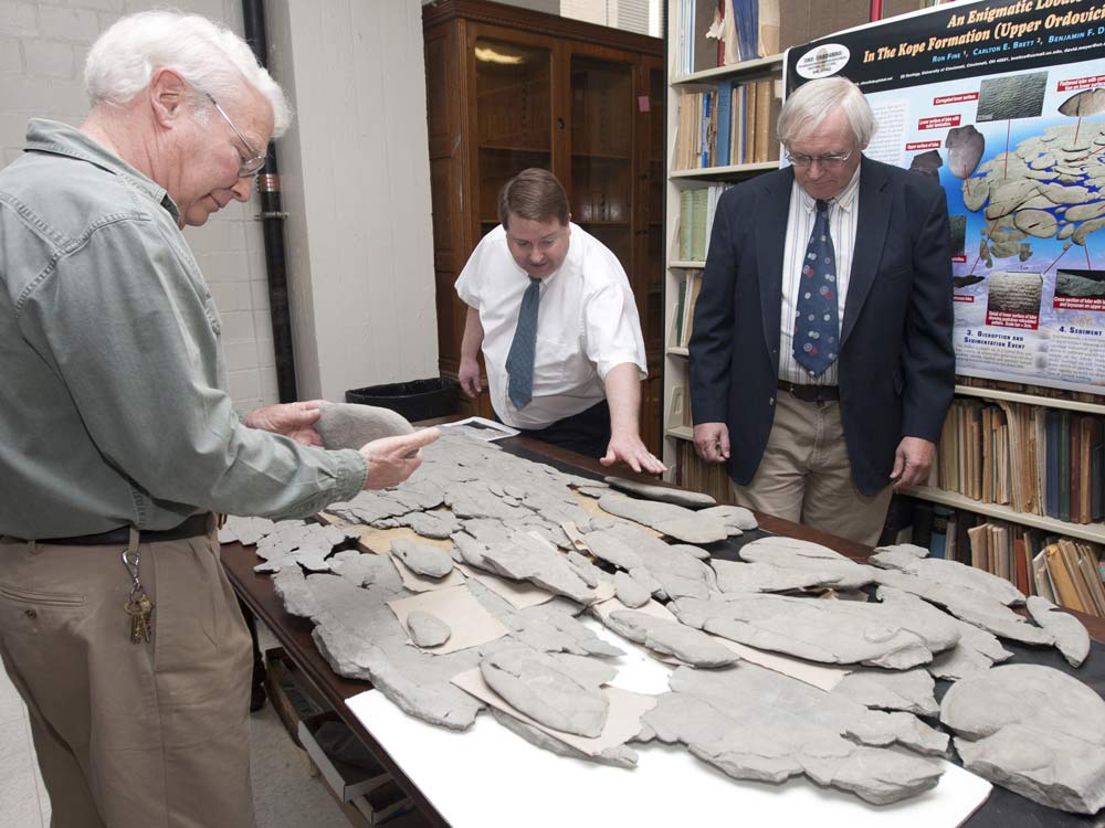Click to enlarge Mysterious Fossil