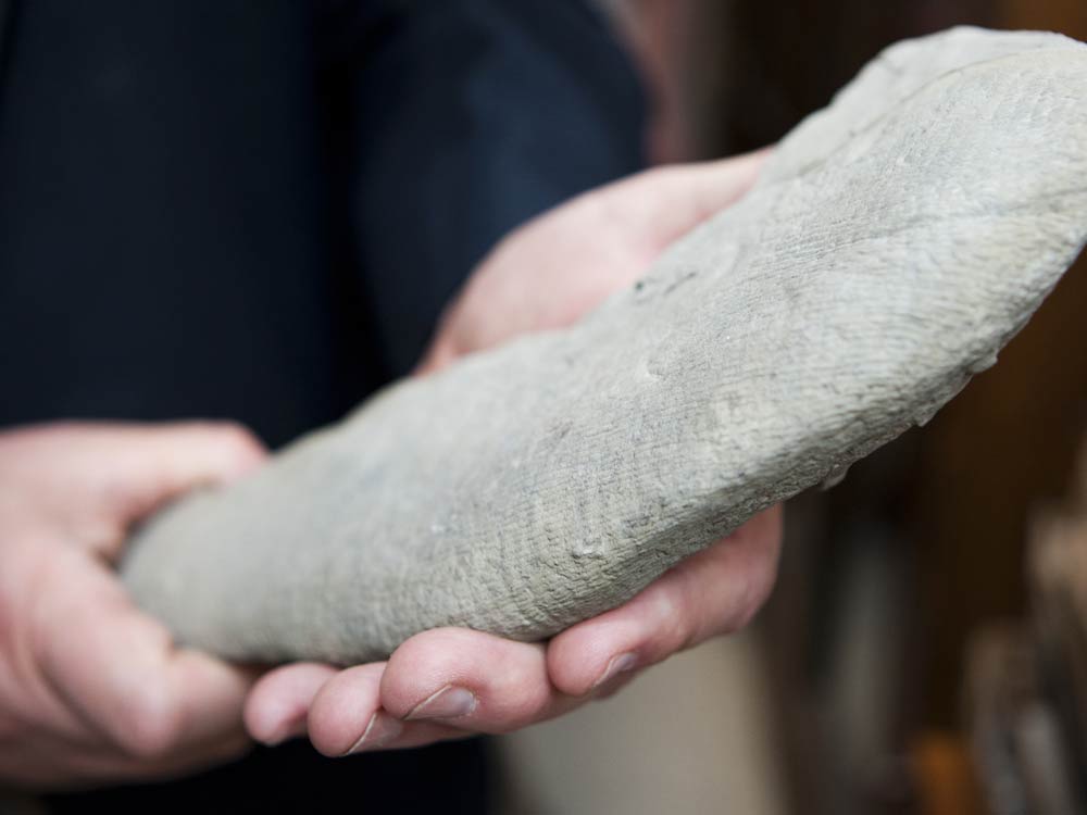 Click to enlarge Mysterious Fossil CloseUp